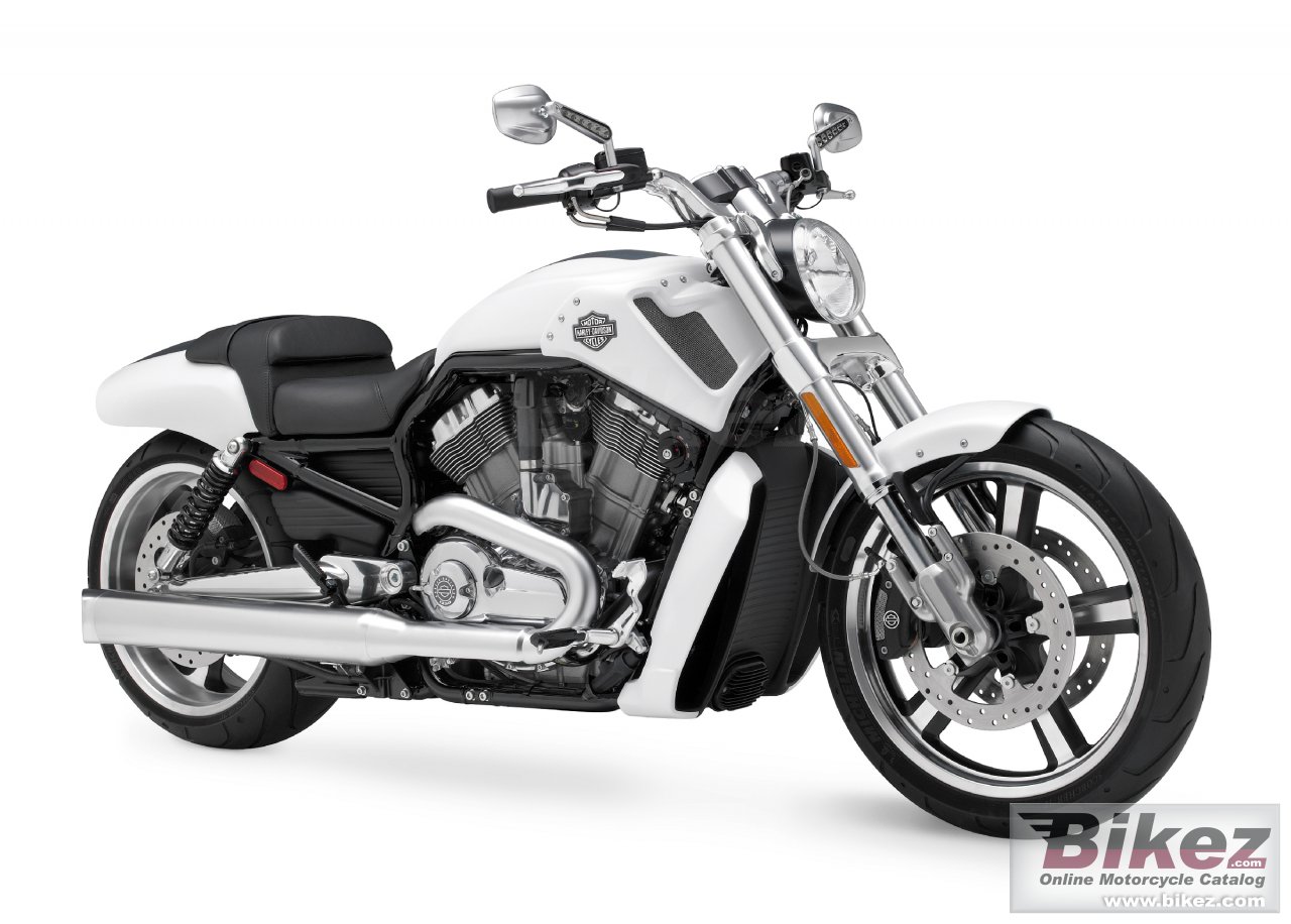Big Harley-Davidson vrscf v-rod muscle picture and wallpaper from Bikez.com
